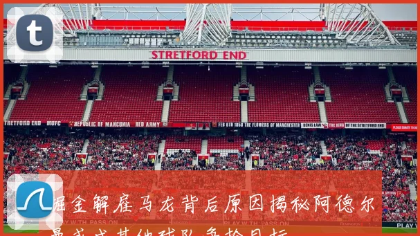 掘金解雇马龙背后原因揭秘阿德尔曼或成其他球队争抢目标