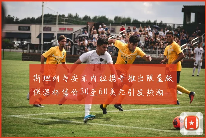斯坦利与安东内拉携手推出限量版保温杯售价30至60美元引发热潮